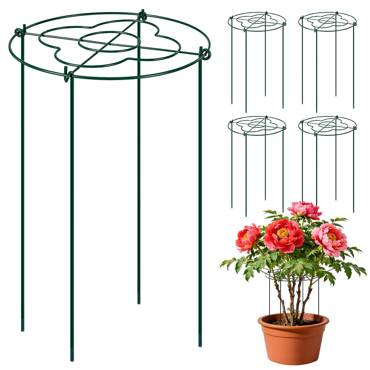 Etnorsu peony cages grow-through grid provides sturdy support for tall blooms
