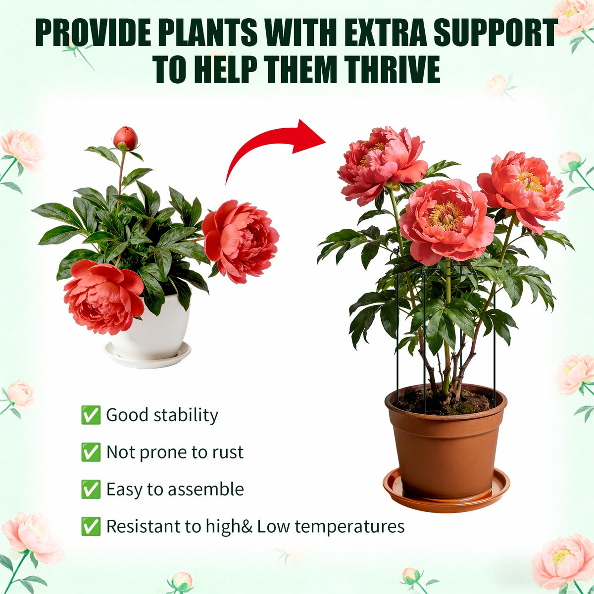 Etnorsu peony support stakes 31.5in keep top-heavy blooms upright