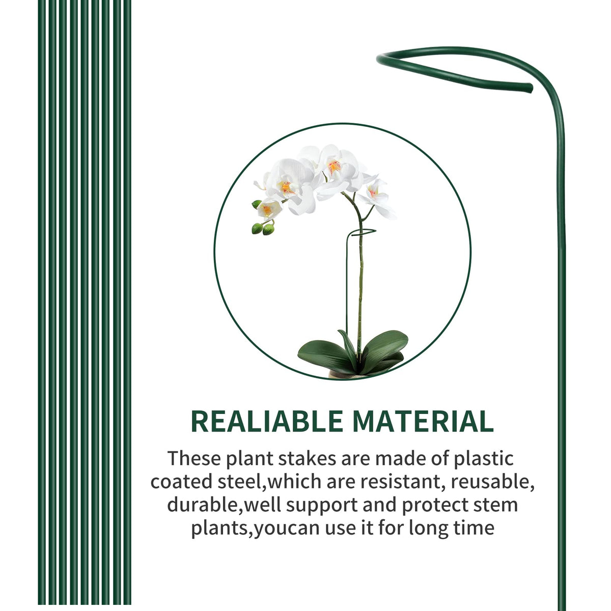 Etnorsu plant clips and stakes set stabilizes stems and rhizomes