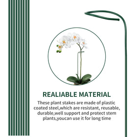 Etnorsu plant clips and stakes set stabilizes stems and rhizomes