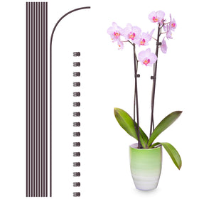 Etnorsu 16-inch bendable plant stake supports tall blooms in any setting.