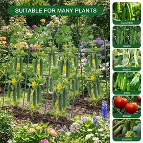 Eunice 35-lb capacity supports heavy vines without sagging