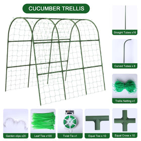 Eunice Garden Clips securing vines for neat, stable growth