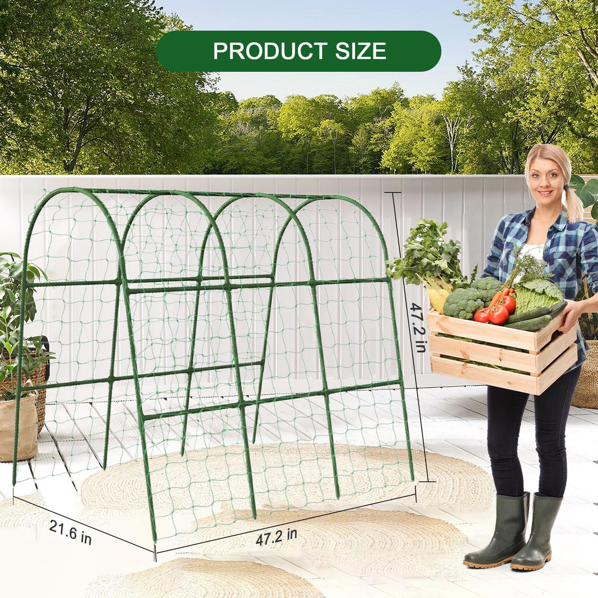 Eunice Leaf Ties safely fasten stems while guiding upward growth