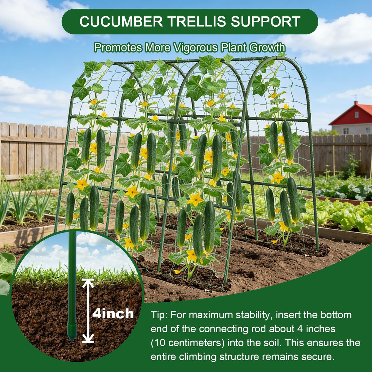 Eunice Trellis Netting provides sturdy climbing support for cucumbers, peas, and tomatoes