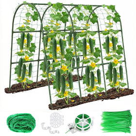 Eunice U-Shape Cucumber Trellis kit with quick, tool-free setup
