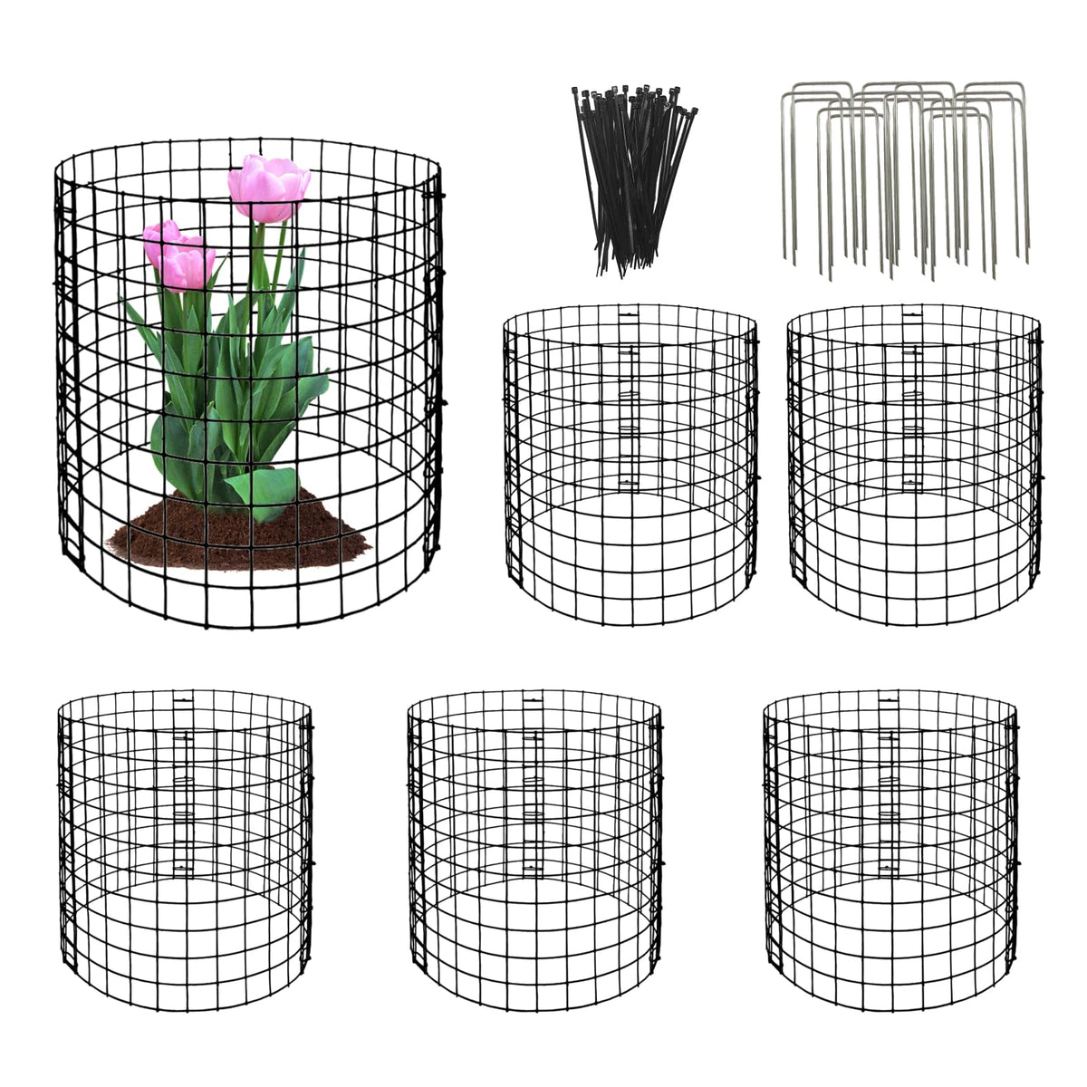 Eunika round plant protector, 12in diameter, shielding from rabbits while letting sunlight pass