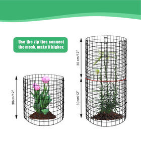 Eunika round plant protector guarding vegetables and flowers while allowing sunlight