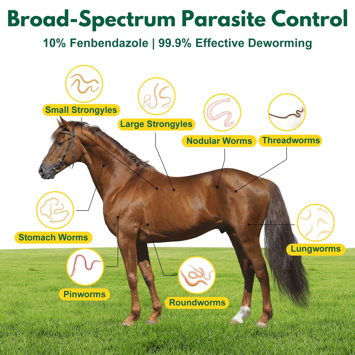 Euphea Fenbendazole dog and cat liquid demonstrates broad-spectrum use.
