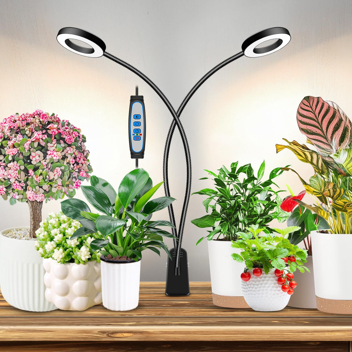 Eurbolan halo grow light clip design delivers focused brightness for indoor greens.