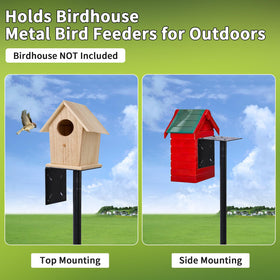 EUSWOUIP pole top supports bird cage for observation or rehab.