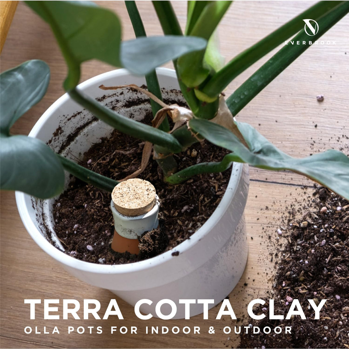 Everbrook olla watering pots buried in soil ensure slow, steady irrigation.