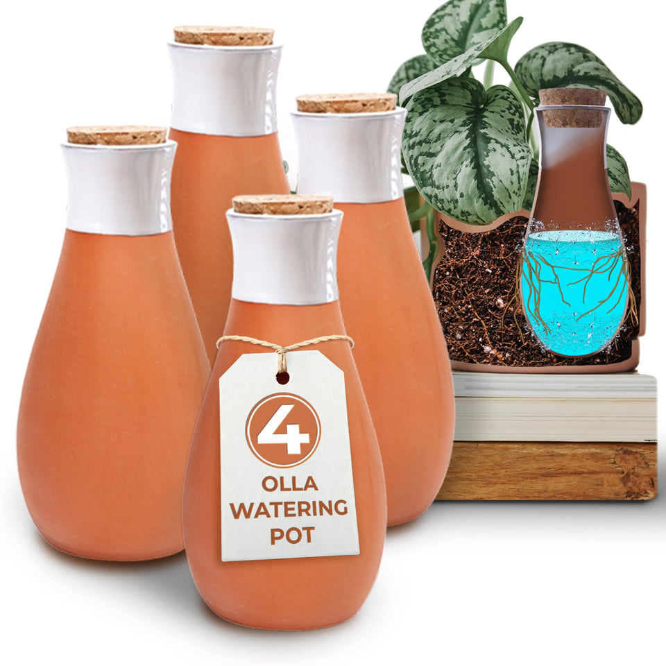 Everbrook plant self-watering globes terracotta spikes deliver direct root hydration.