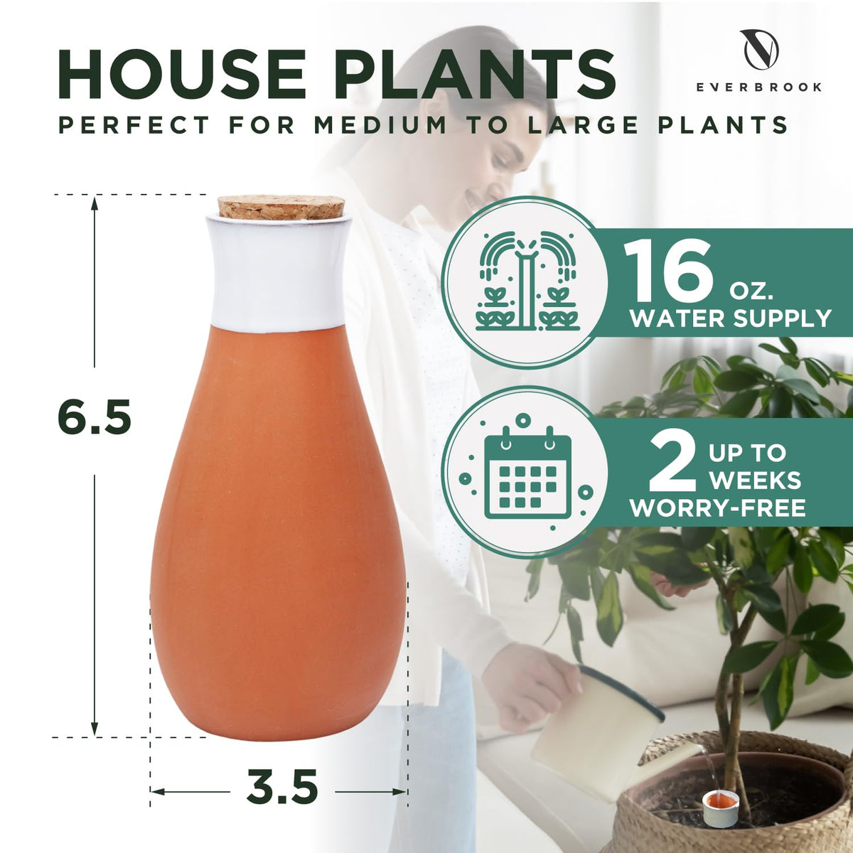 Everbrook terra-cotta watering spikes in ground promote efficient root watering.