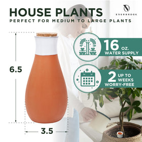 Everbrook terra-cotta watering spikes in ground promote efficient root watering.