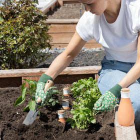 Everbrook vacation watering solution keeps plants hydrated while you’re away.