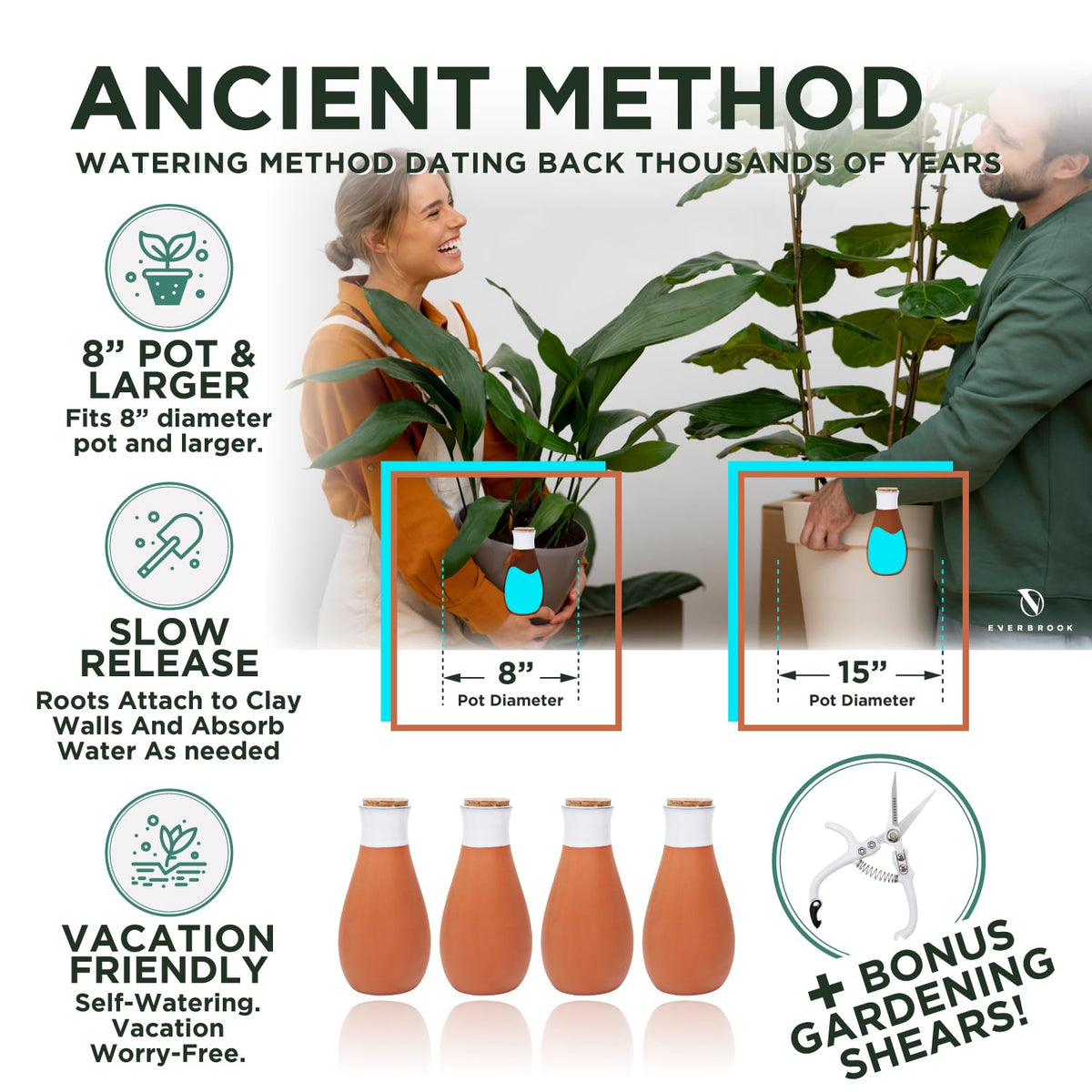 Everbrook water delivery to roots shows direct moisture and soil uptake.