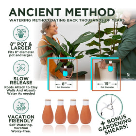 Everbrook water delivery to roots shows direct moisture and soil uptake.