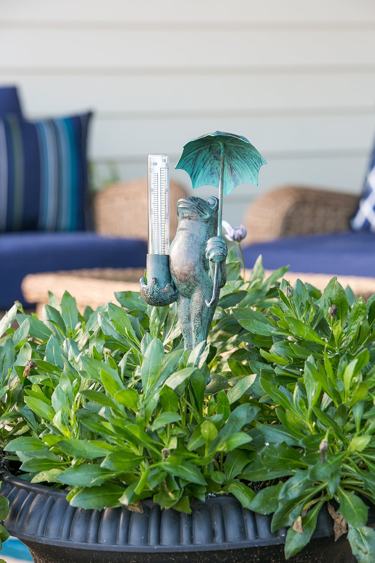 Evergreen Garden outdoor decor frog elevates yard styling year round.