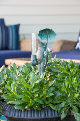 Evergreen Garden outdoor decor frog elevates yard styling year round.
