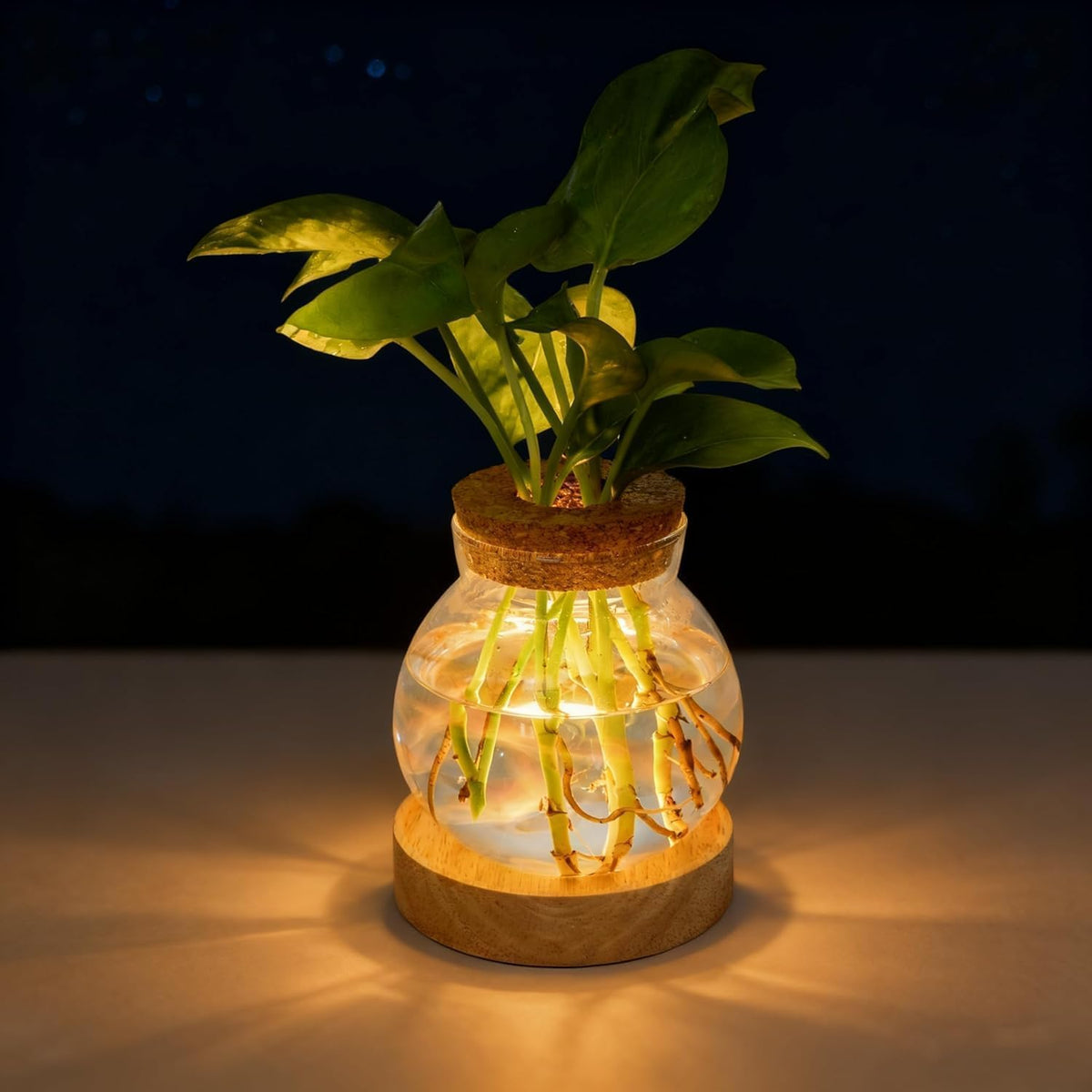 Everkeen propagation station light helps easy indoor propagation and ambient room glow.