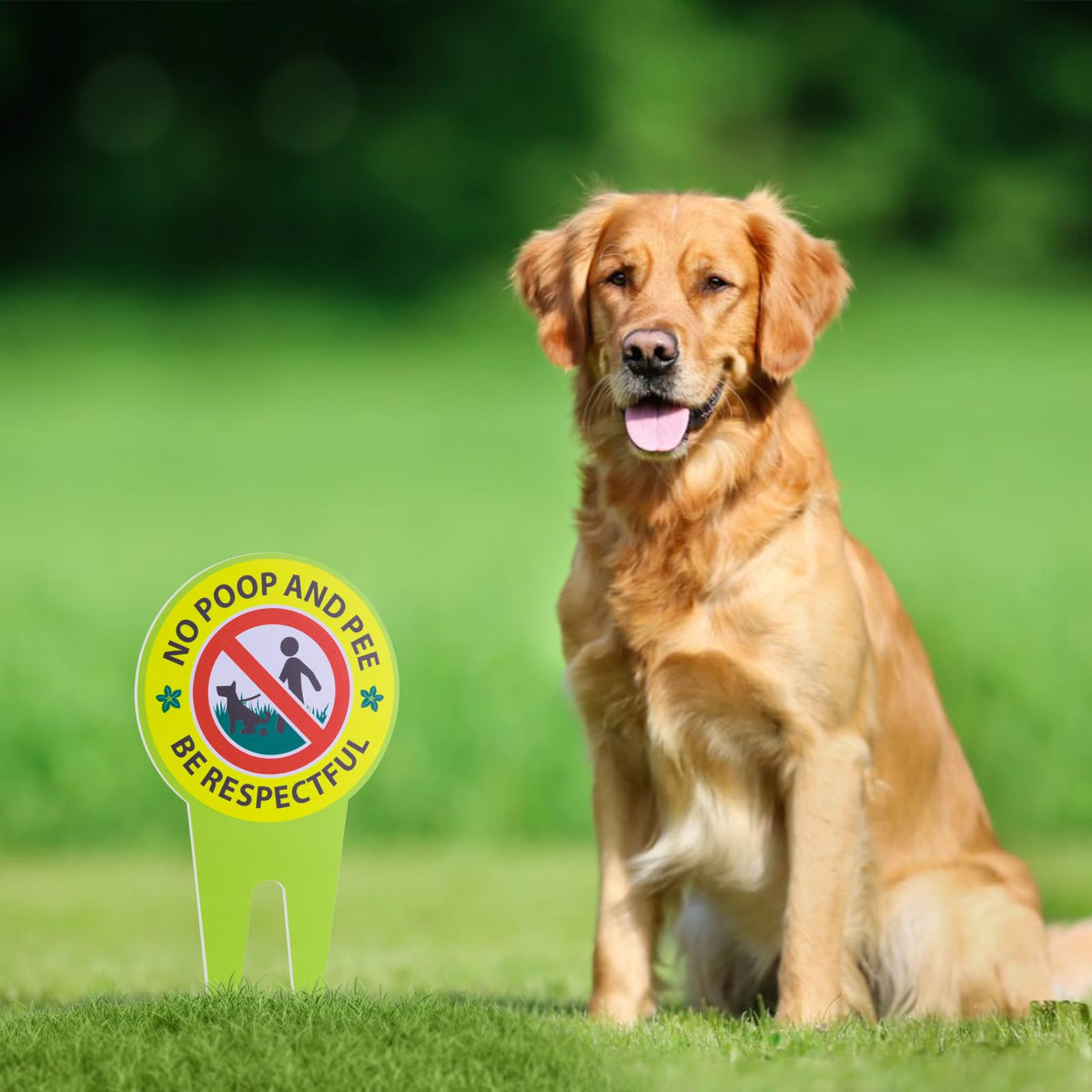 EVIESKENT No Dog Poop Sign 2 Pack — easy installation without tools