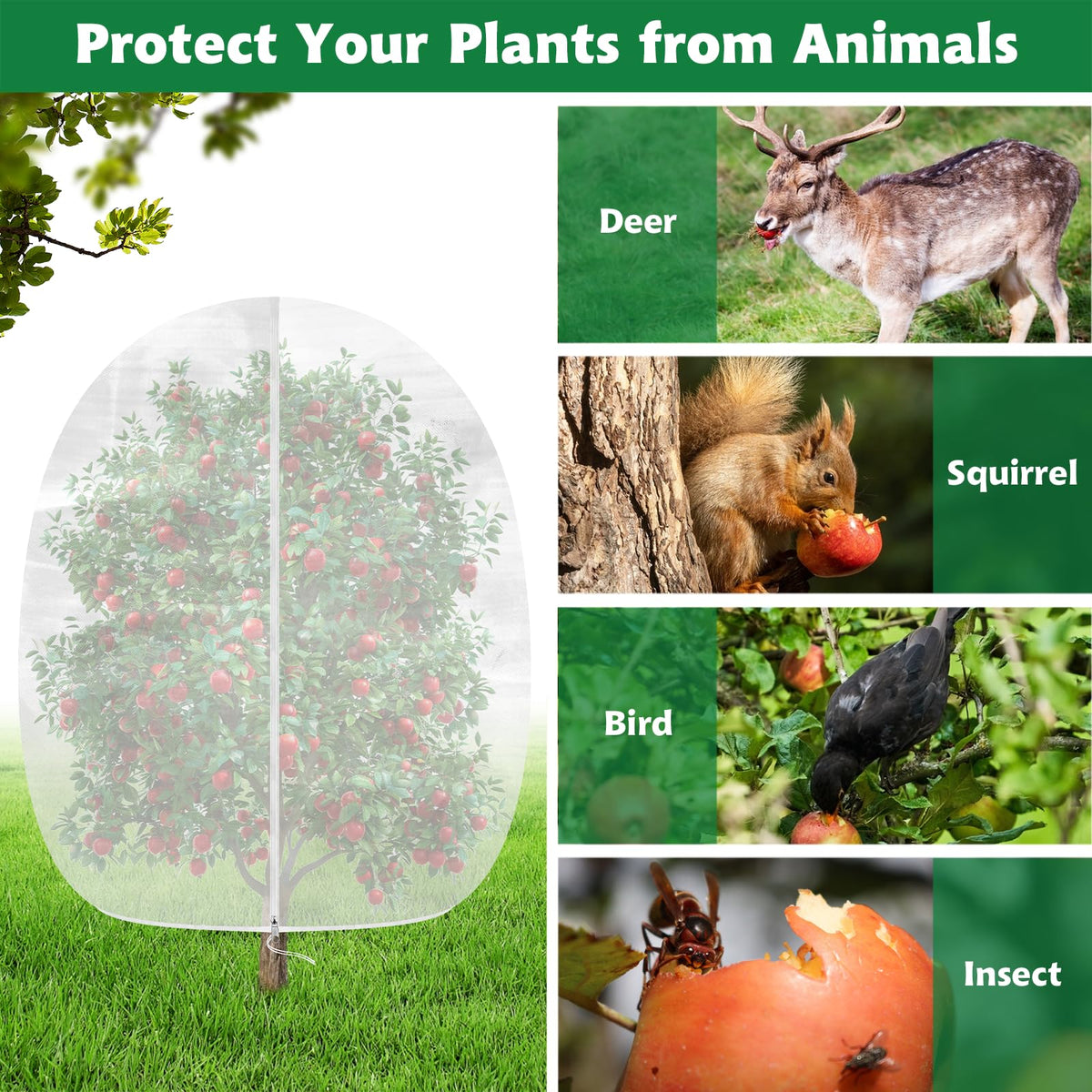 Evoio blueberry bush netting protects berries while allowing rain and sunlight.