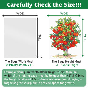 Evoio covers tomatoes and strawberries, creating a barrier from birds.