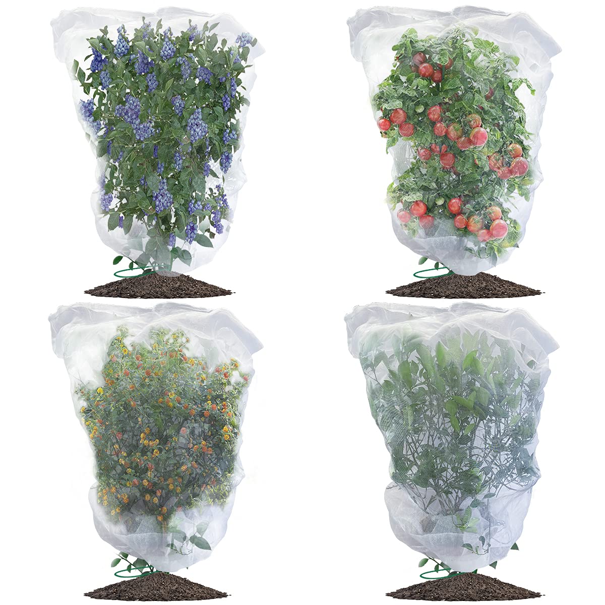 Evoio Bird Netting 4-pack protects fruit trees from birds and pests.