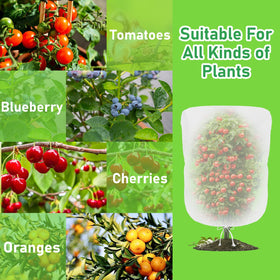 Evoio Bird Netting protects potted plants without crowding or harm