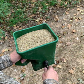 Seasonal planting idea hints spring and fall benefits for deer herds.
