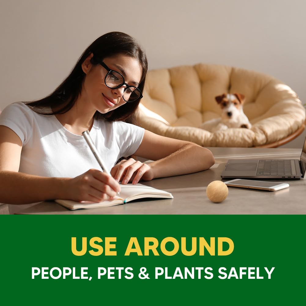 EVSPWI repellent ball at entryway deters dogs from indoors without sprays