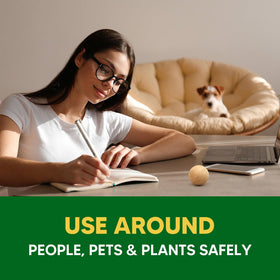 EVSPWI repellent ball at entryway deters dogs from indoors without sprays