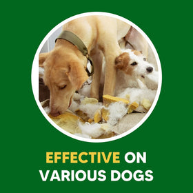 EVSPWI indoor use repellent ball keeps dogs away from restricted rooms