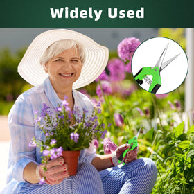 EWPJDK versatile tool trio enabling multiple pruning tasks