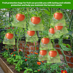 EWPJDK easy-to-install fruit protection in garden settings.