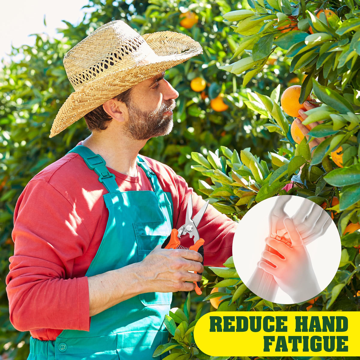 EWPJDK packaging shows a gift-ready garden tool set for gardeners.