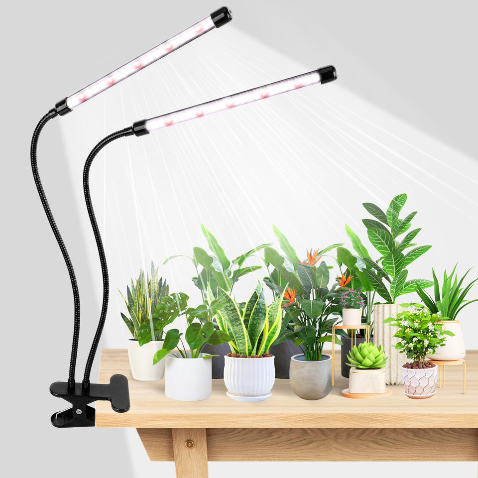 EWPJDK Grow Light 6500K full spectrum LED array for thriving indoor greens.