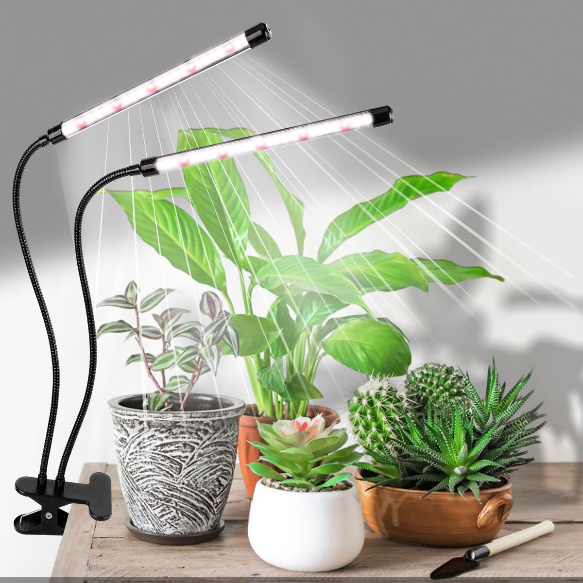 EWPJDK Grow Light offers three modes for adaptable plant lighting.