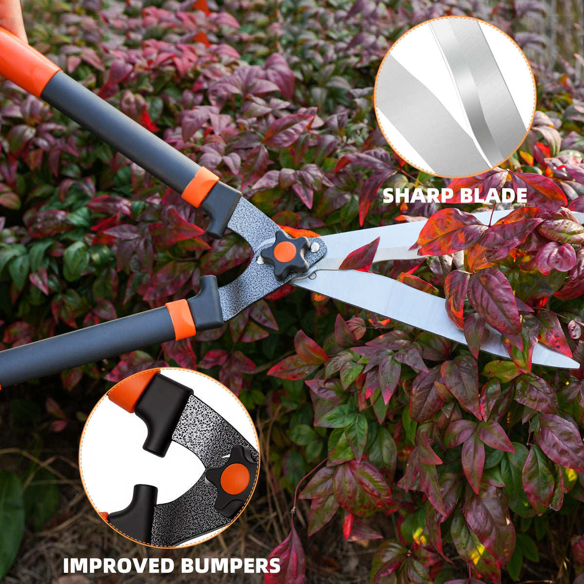 EWPJDK pruners combo set displayed for versatile indoor and outdoor pruning tasks