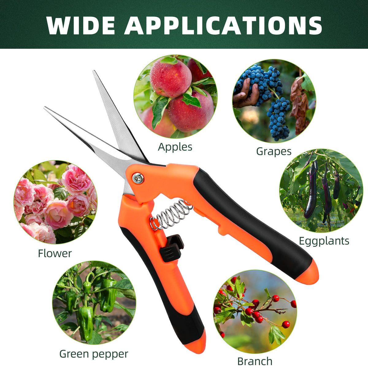EWPJDK pruning shears ideal for bonsai trimming.