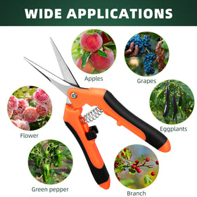 EWPJDK pruning shears ideal for bonsai trimming.