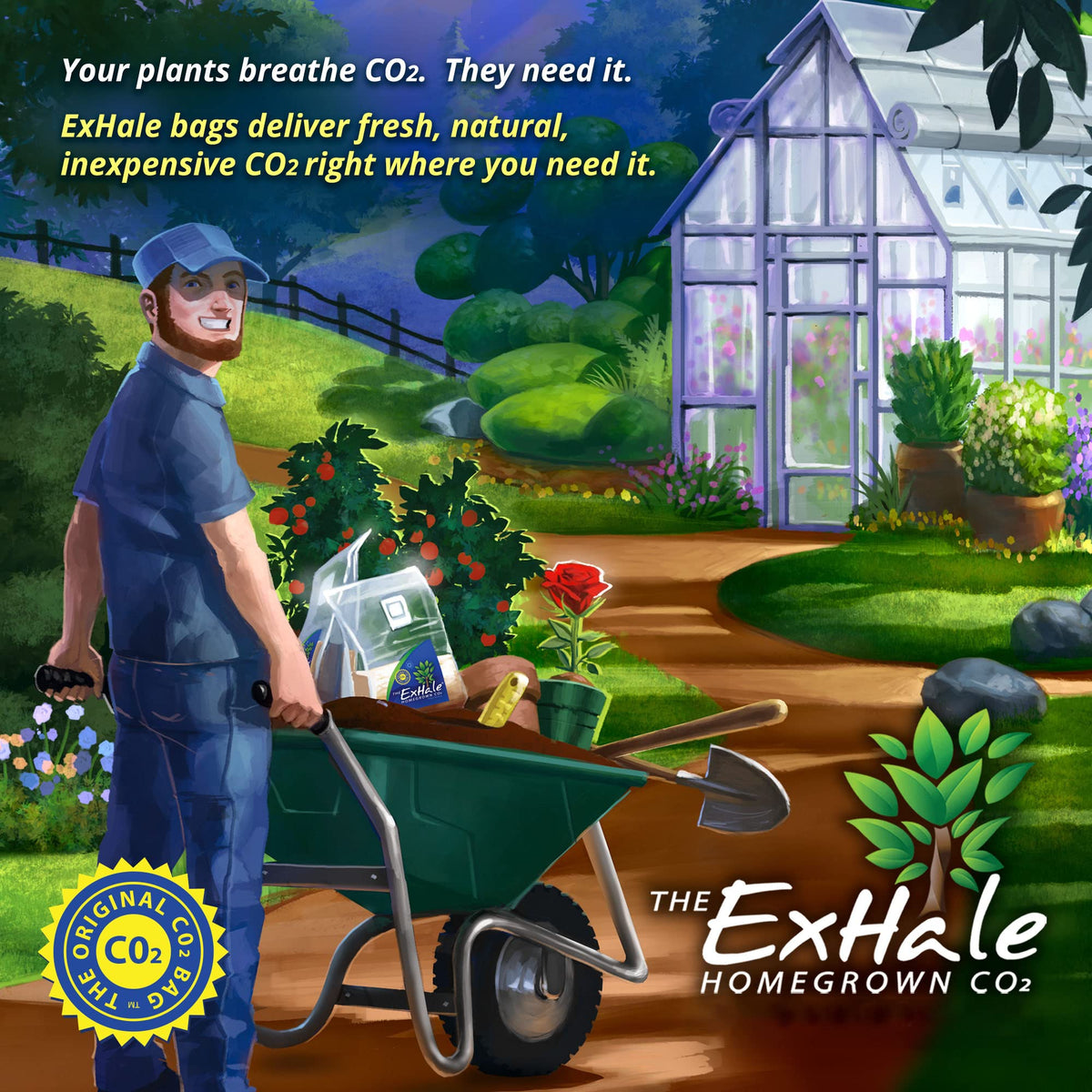 Exhale Homegrown CO2 365 bag placed above plants for canopy exposure.