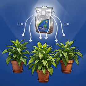 Exhale Homegrown CO2 365 bag in a grow tent delivering CO2 coverage.