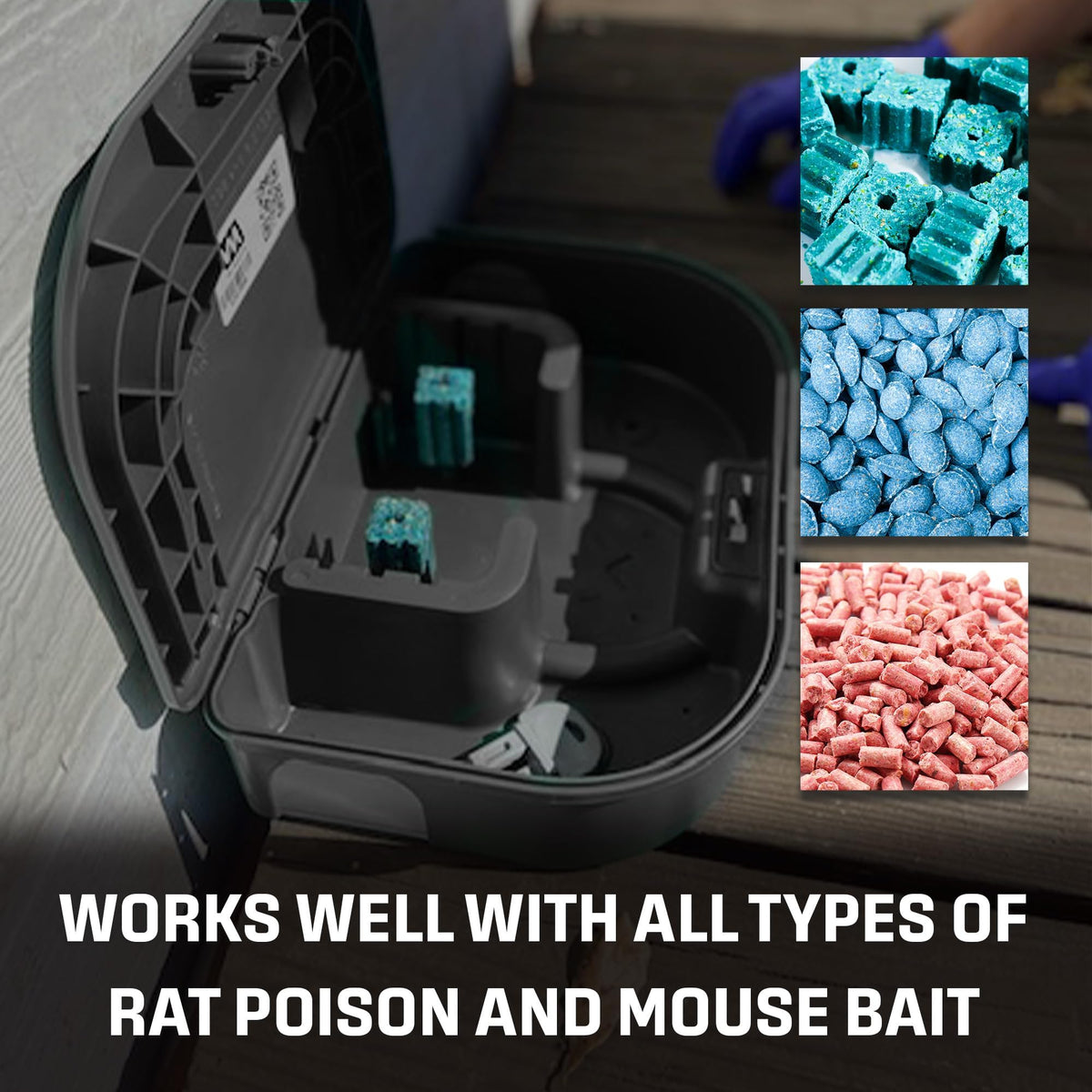 Exterminators Choice station placed indoors near baseboard for effective monitoring.