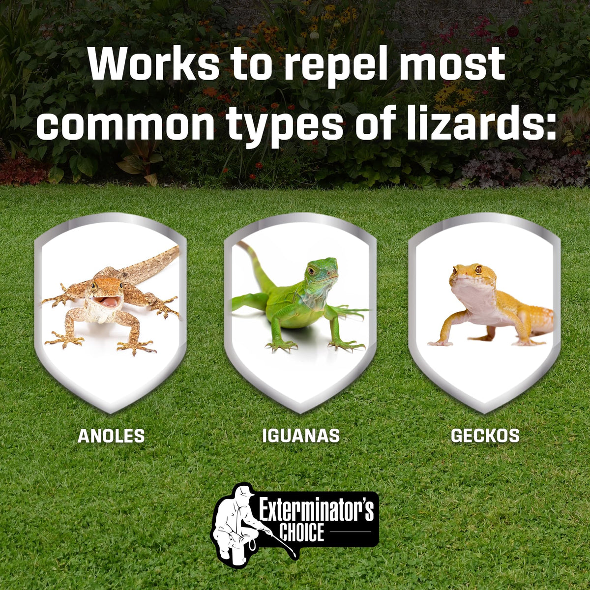 Exterminators Choice Gecko & Lizard Defense Spray outdoors protecting patios and gardens