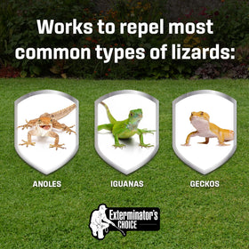 Exterminators Choice Gecko & Lizard Defense Spray outdoors protecting patios and gardens