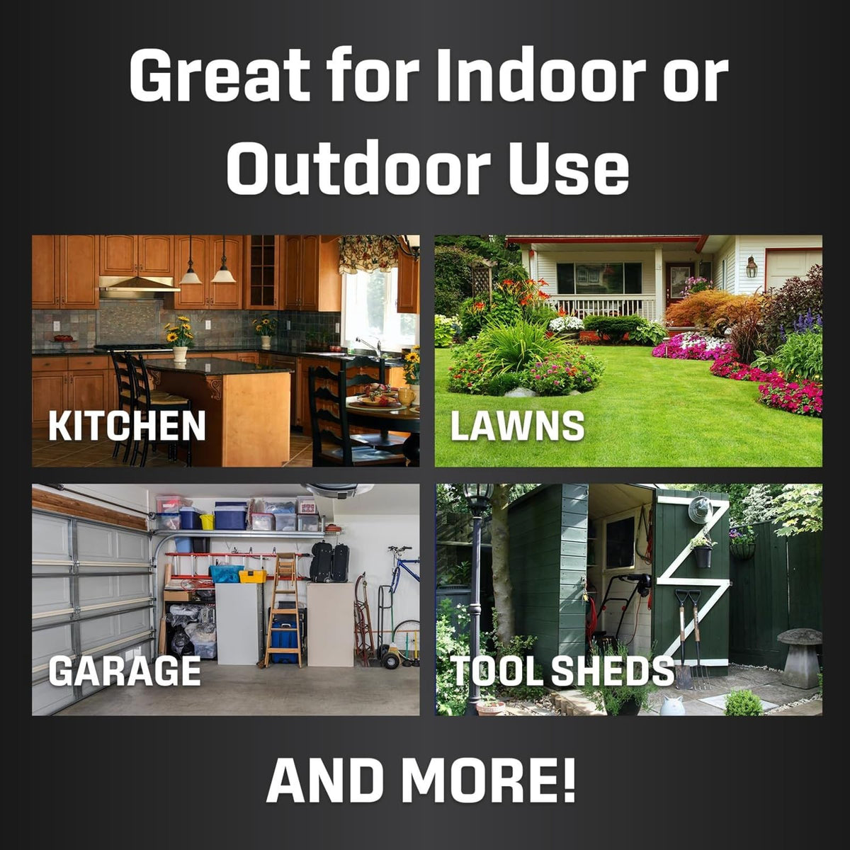 Exterminators Choice kitchen-station placement emphasizes clean appearance and monitoring.