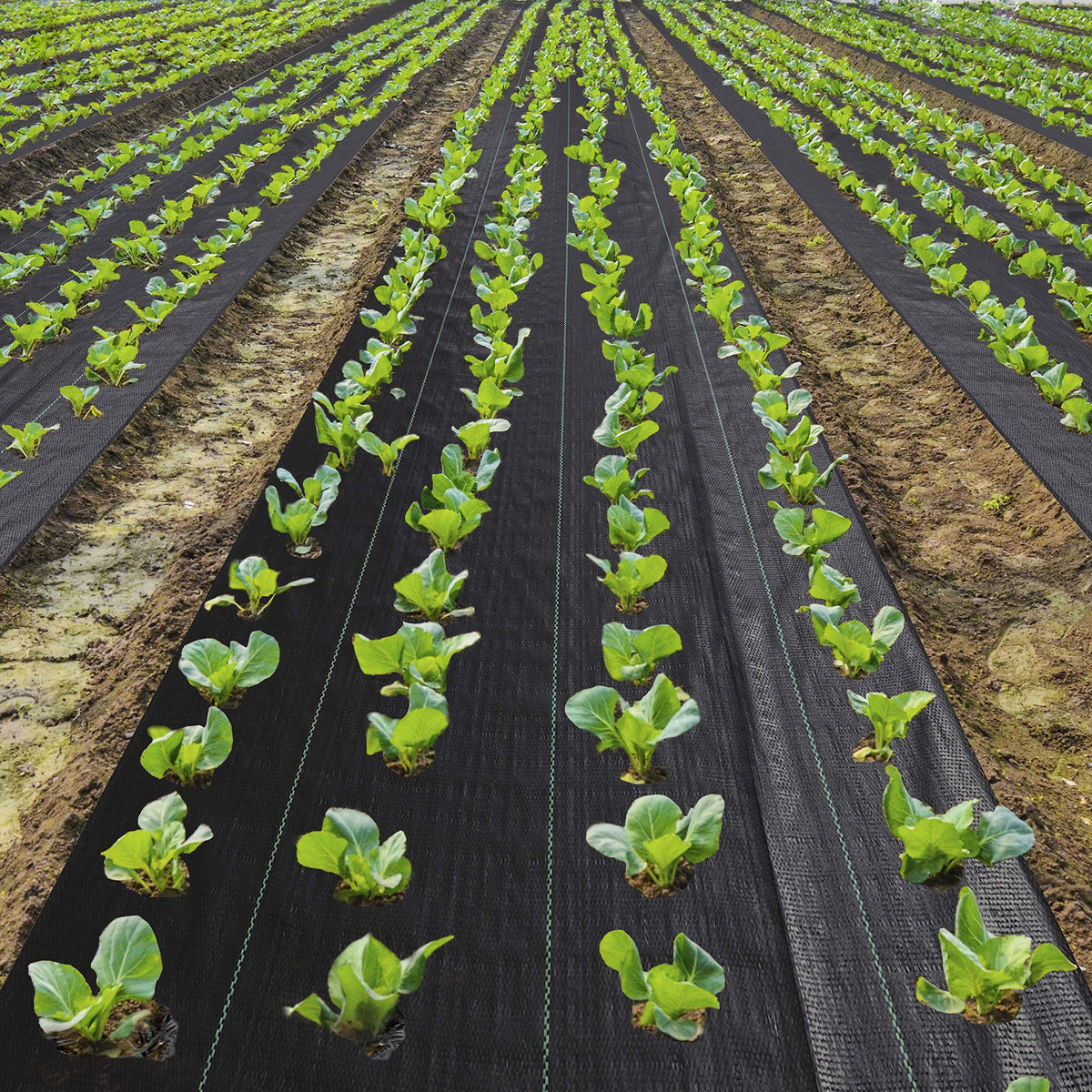 EXTRAEASY landscape fabric high permeability supports soil health and drainage.
