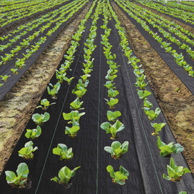 EXTRAEASY landscape fabric high permeability supports soil health and drainage.